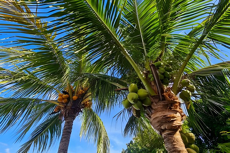 Casa Charme, até 19 pessoas, 5 quartos e piscina