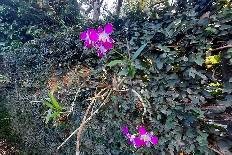 Recanto do Marcô, casa charmosa em meio a natureza