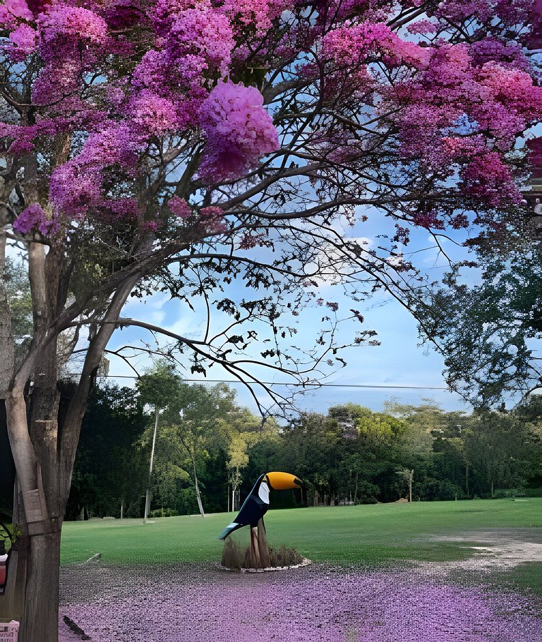 Rancho do Tucano, charme na natureza, Rio Formoso