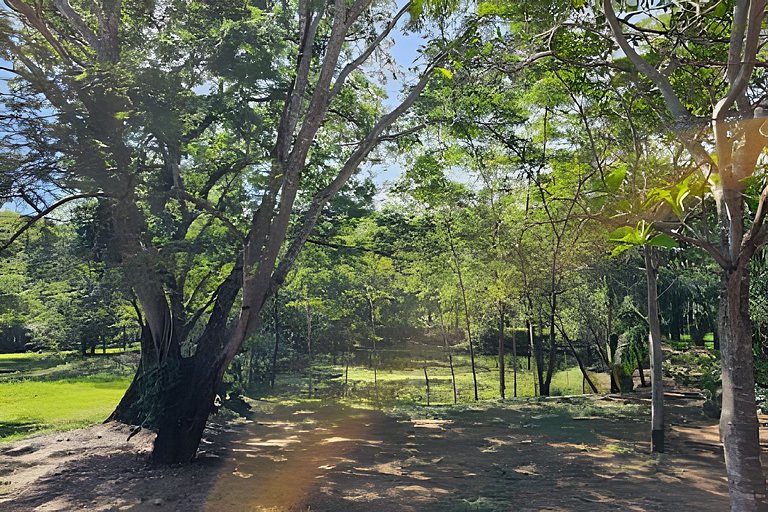 Luxo na Natureza, Rio Formoso, 5Q para 12 pessoas.
