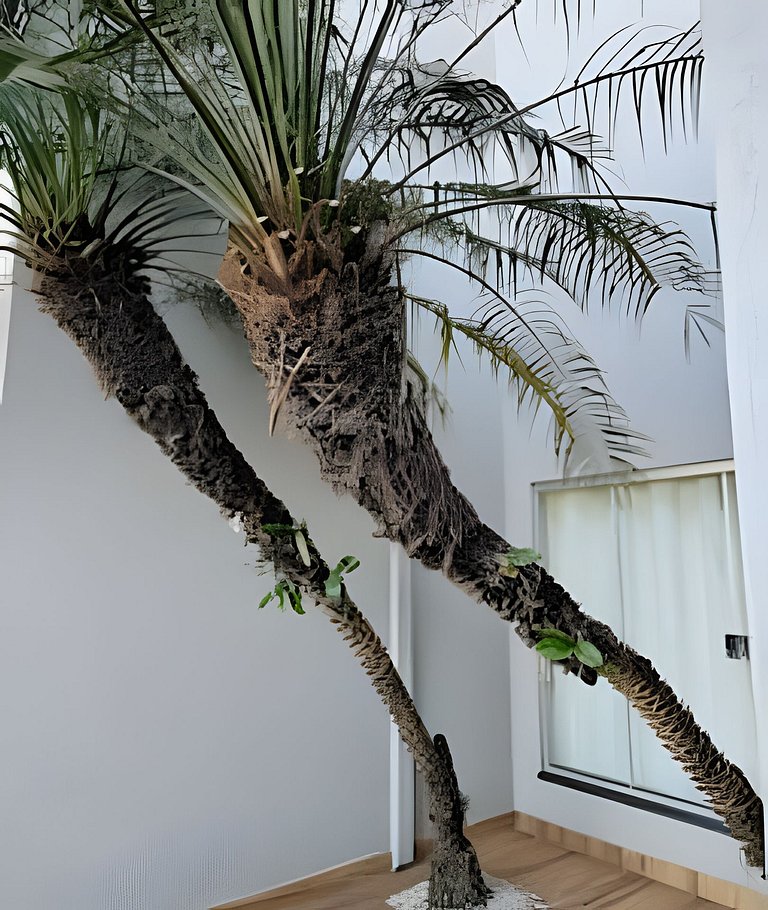 Casa da Gruta: Completa, Sofisticada e Acolhedora