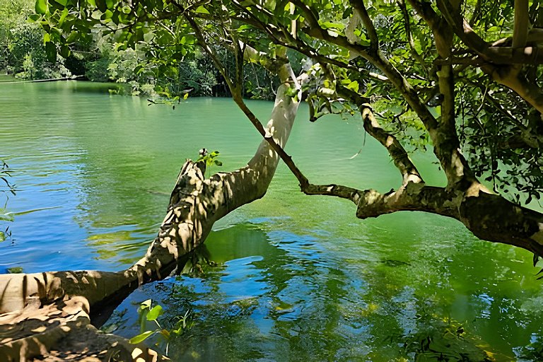Rio Formoso, Piscina e Conforto em Casa Nova