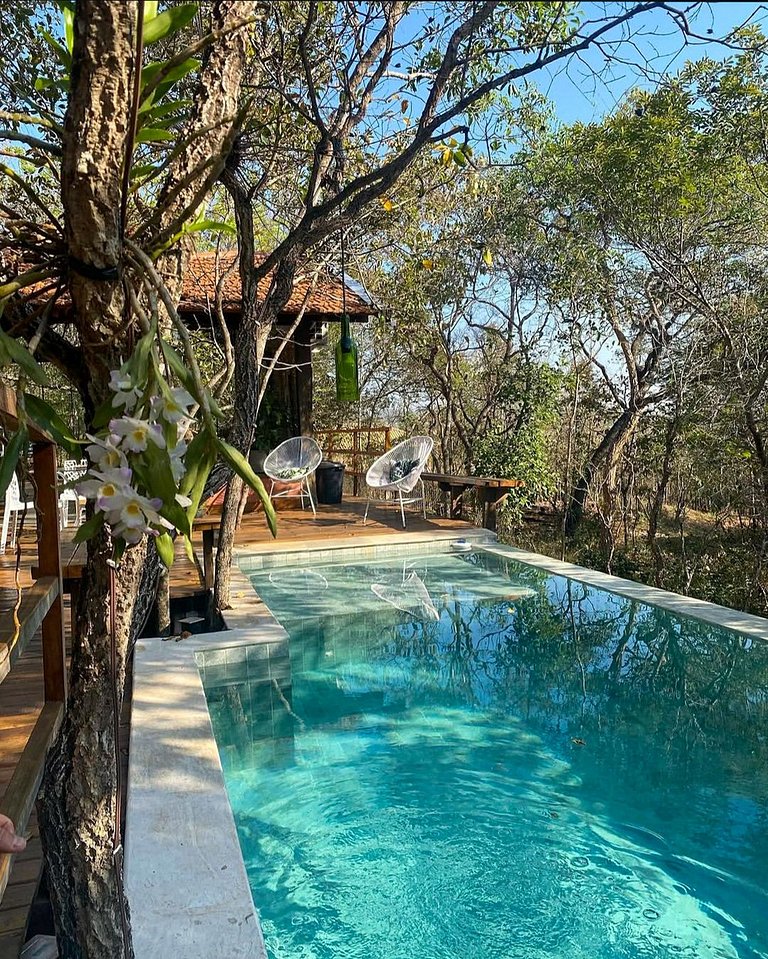 Casa da Árvore: Charme natural próximo ao centro