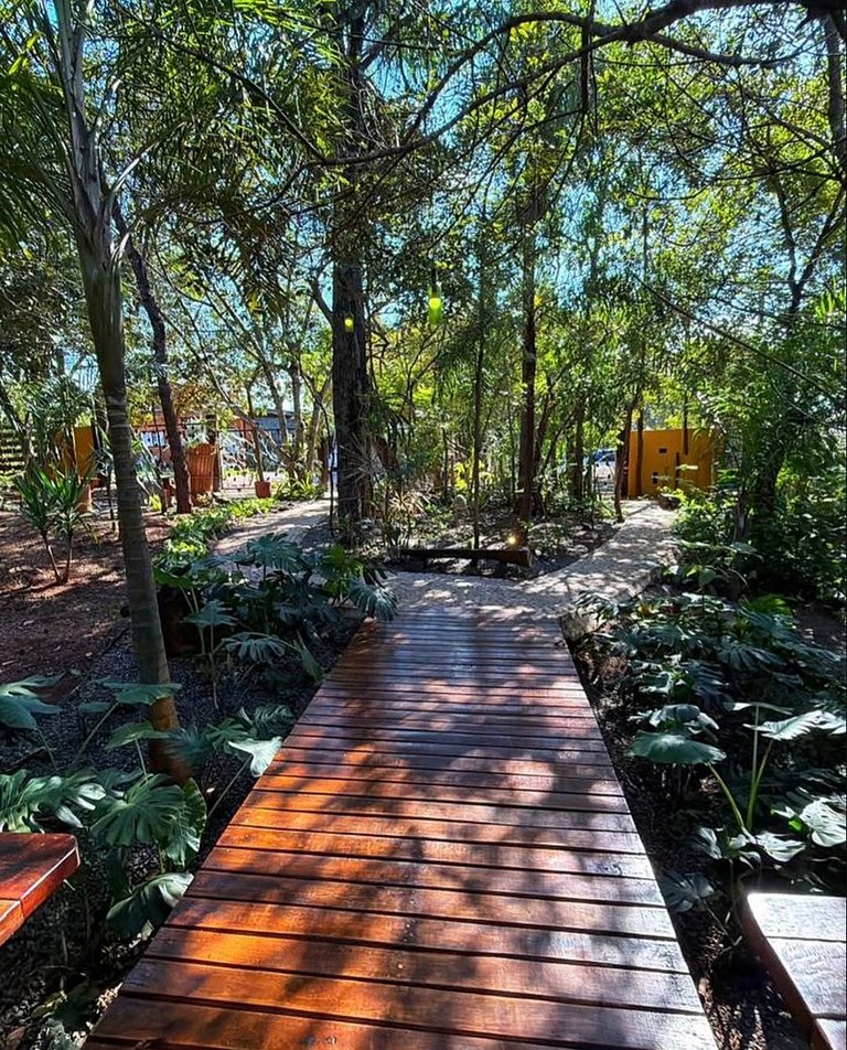 Casa da Árvore: Charme natural próximo ao centro